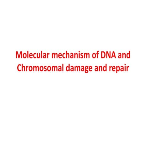 Molecular mechanism of DNA,damage n repair.pptx