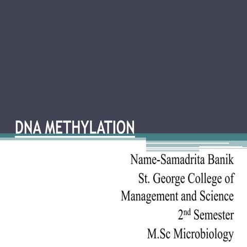 Dna methylation