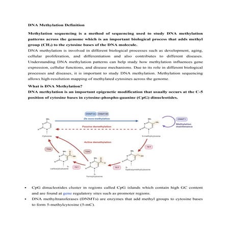 Principle and workflow of whole genome bisulfite sequencing | PPTX