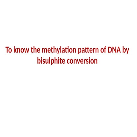 DNA methylation by Bisulphite sequencing MSC II write up.pptx