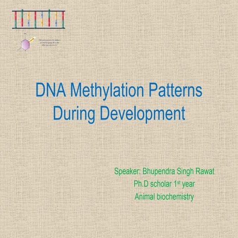 Dna methylation pattern during development