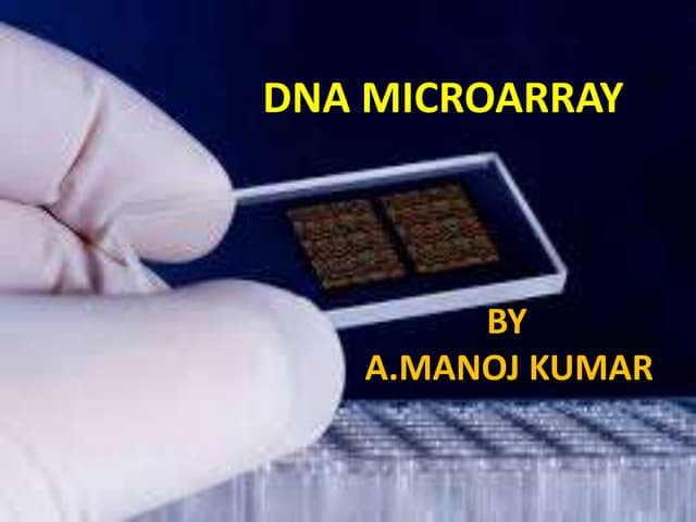 DNA microarray