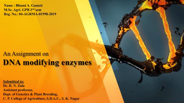 Dna modifying enzymes