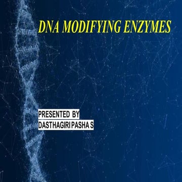 DNA modifying enzymes 