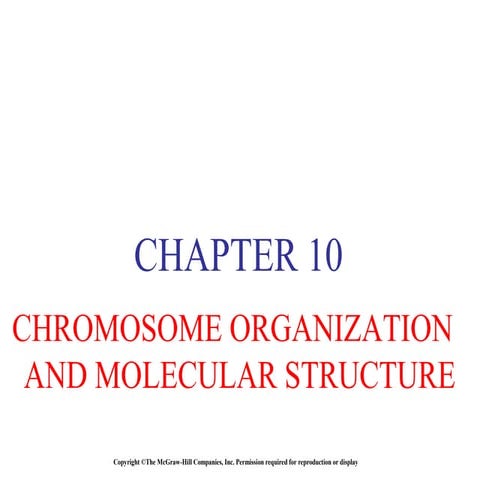 Dna organization (2)