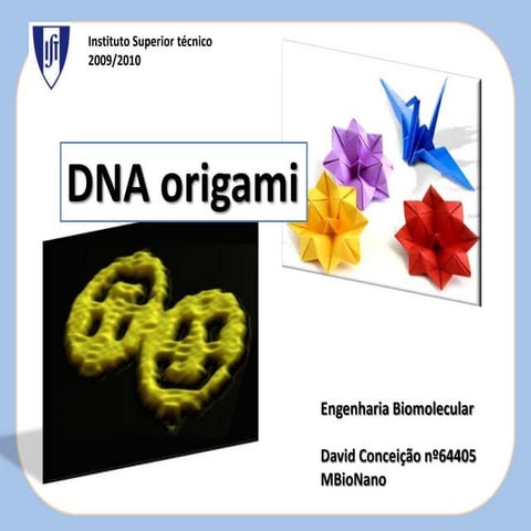 Dna Origamis Presentation