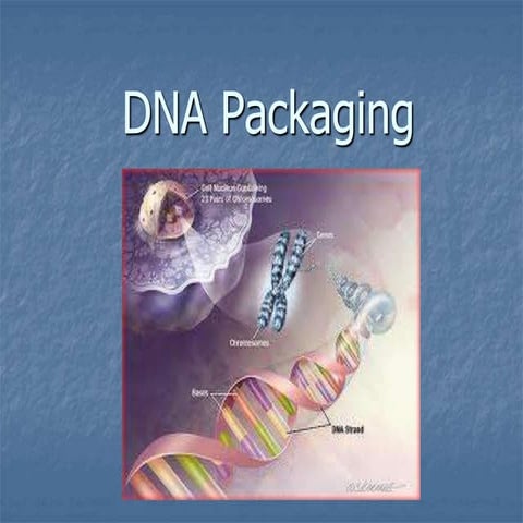 Dna packaging