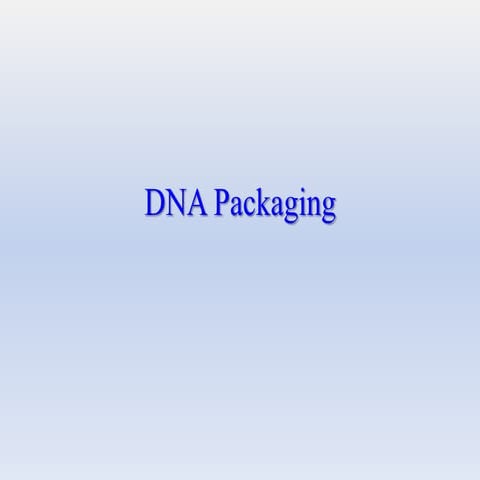 DNA_Packaging.ppt