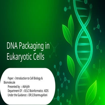DNA Packaging in Eukaryotic   Cells.pptx