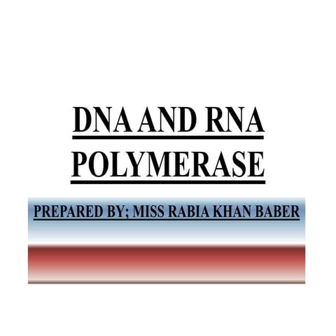 DNA POLYMERASE 