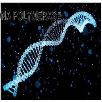 Dna polymerase