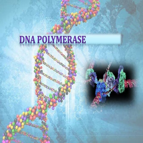 DNA POLYMERASE.pptx