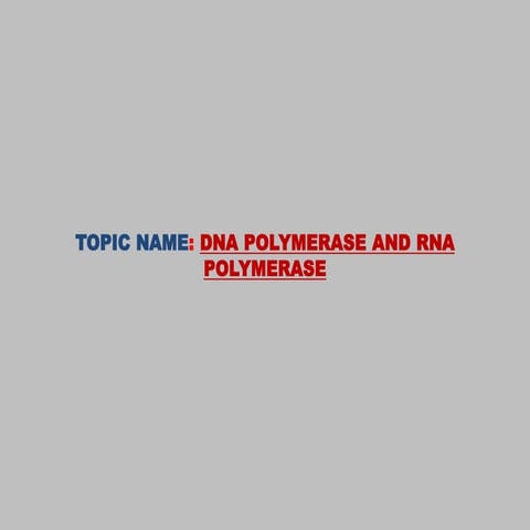 DNA POLYMERASE AND RNA POLYMERASE.pptx