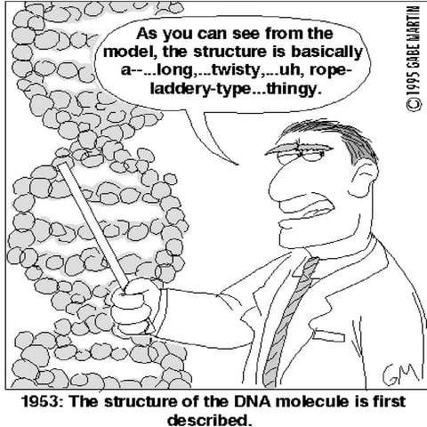 DNA notes REVISED Edition!