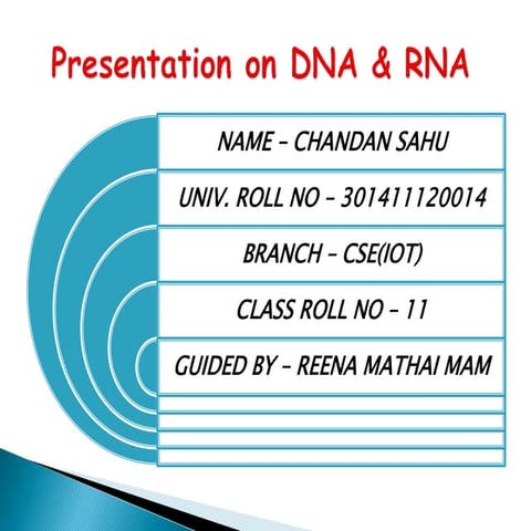 DNA ppt.ppt