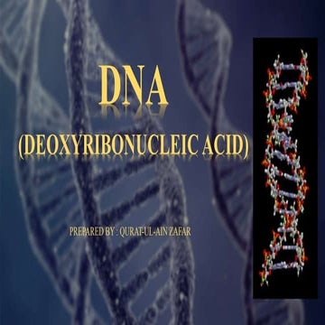 DNa Deoxyribonucleic acid-  code of life