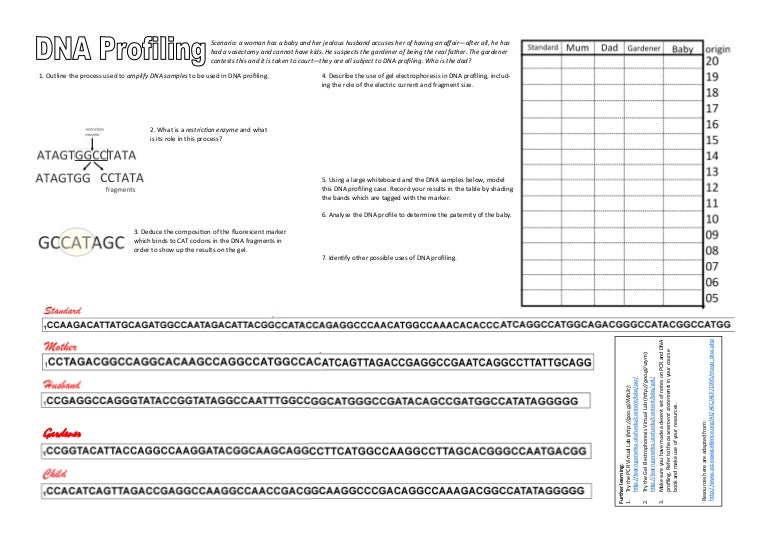 Printables Dna Technology Worksheet find the cat dna profiling worksheet