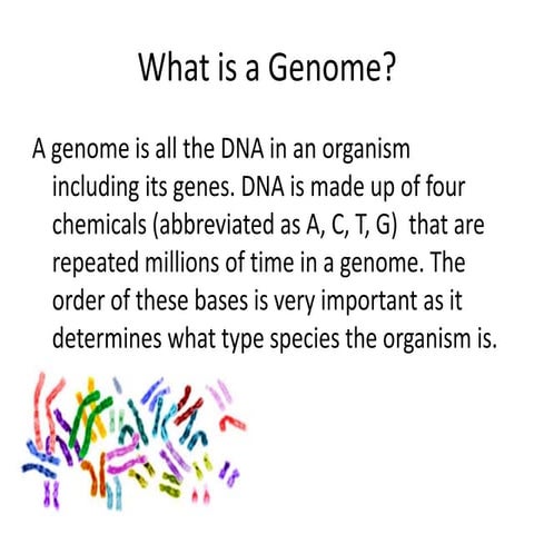 Human Genome Project 