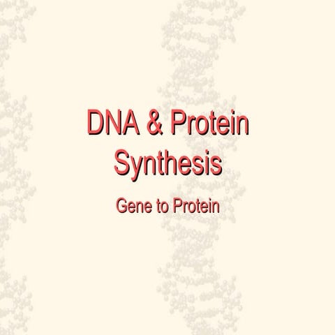 DNA & Protein Synthesis Detailed explanations