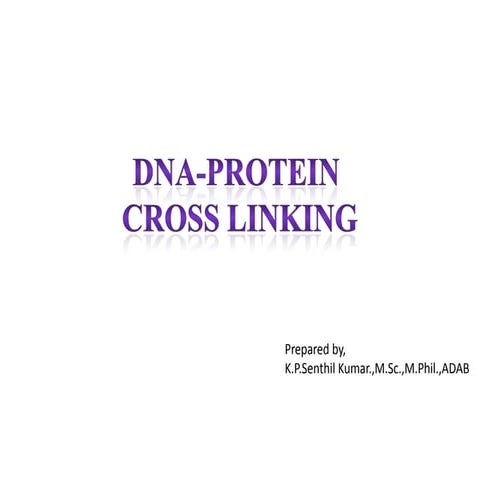 Dna prt cross linking