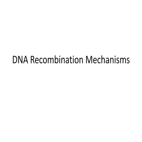 Dna recombination mechanisms new
