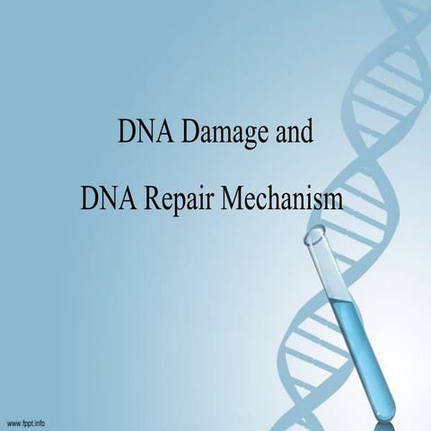 Dna repair