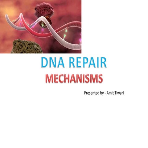 DNA Repair Mechanisms
