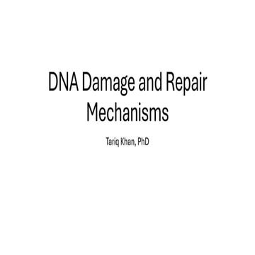 DNA Repair.pdf sbsbsbbs djdbdb xndnndnd dnndne