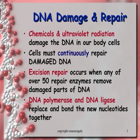 Comprehensive Overview of DNA Damage and Repair Mechanisms in Cells | PPT