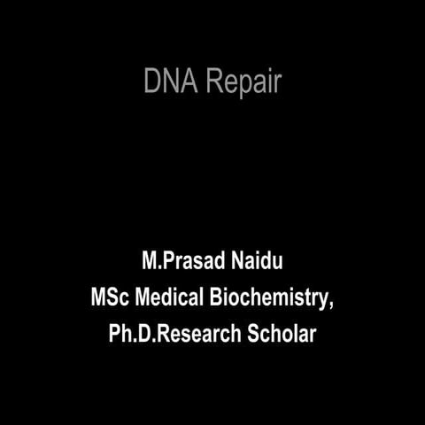 DNA Repair 