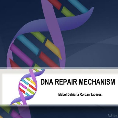 Dna repair mechanism