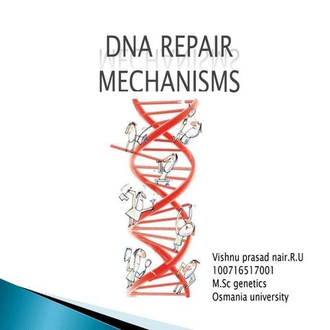 Dna repair mechanism | PPTX