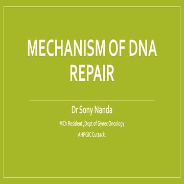 dna repair mechanism.pptx Biology Diagrams