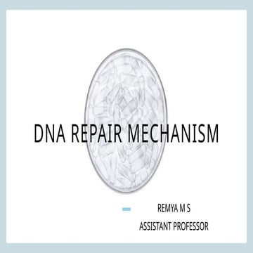 Different DNA repair mechanism and their diagram