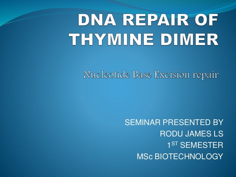 DNA Repair of Thymine Dimer