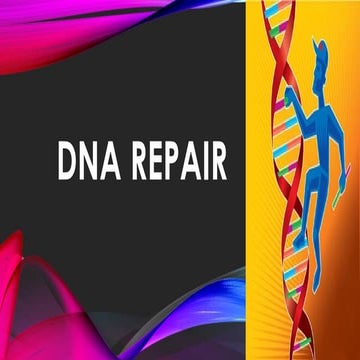 dnareparing-171016115415.pptxdna repairing
