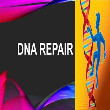 DNA reparing
