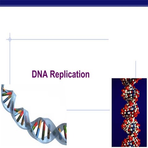 Dna replication