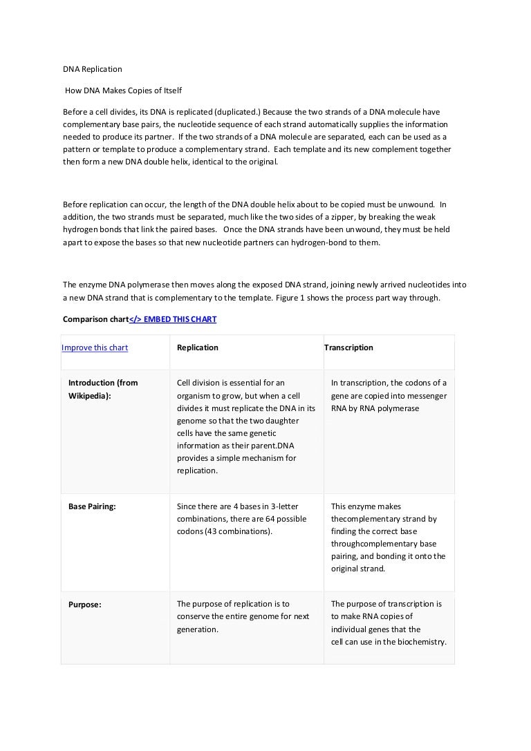 Worksheets Dna Double Helix Worksheet dna replication