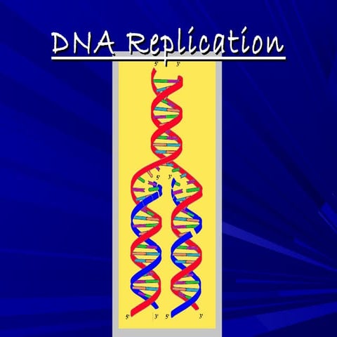 DNA Replication completed in-full picture.ppt