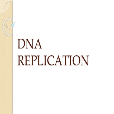 Dna replication
