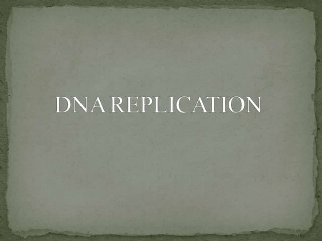 dna_replication.pptx