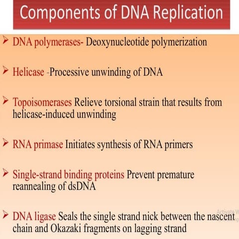 DNA REPLICATION PROCESS REQUIREMENT AND | PPTX