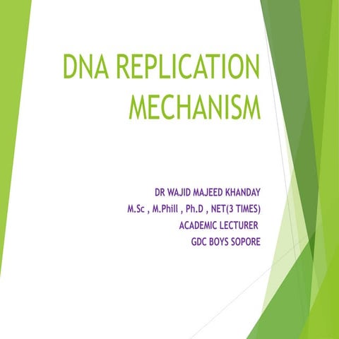 DNA Replication in eukaryotes and prokaryotes