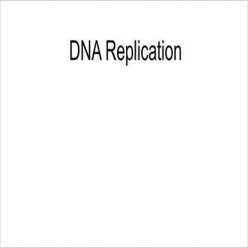 dna replication.pdf hbdvjh,bkjhsjkbsjb,cbs,b