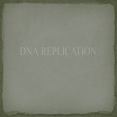 dna_replication.pptxsjskmskdndjxicncidkslajdjrnfidwybdixkkmdiodokdmsjbsjskmsk...