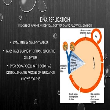 Explanation of Deoxyribonuclease Replication process.pptx