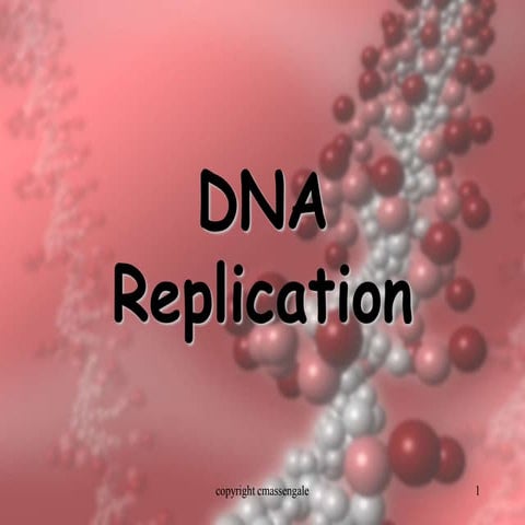 DNA replication1.ppt