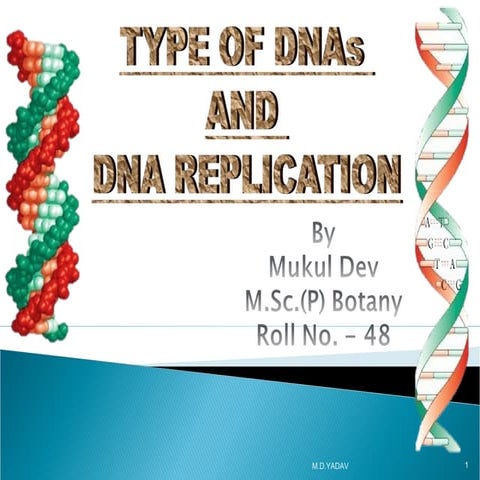 DNA replication and types of DNA