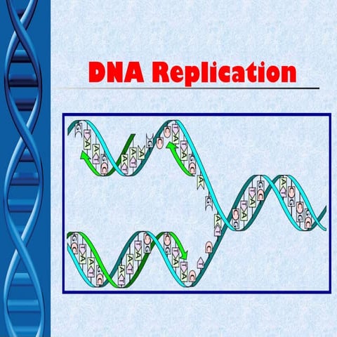 Dna presentation | PPTX